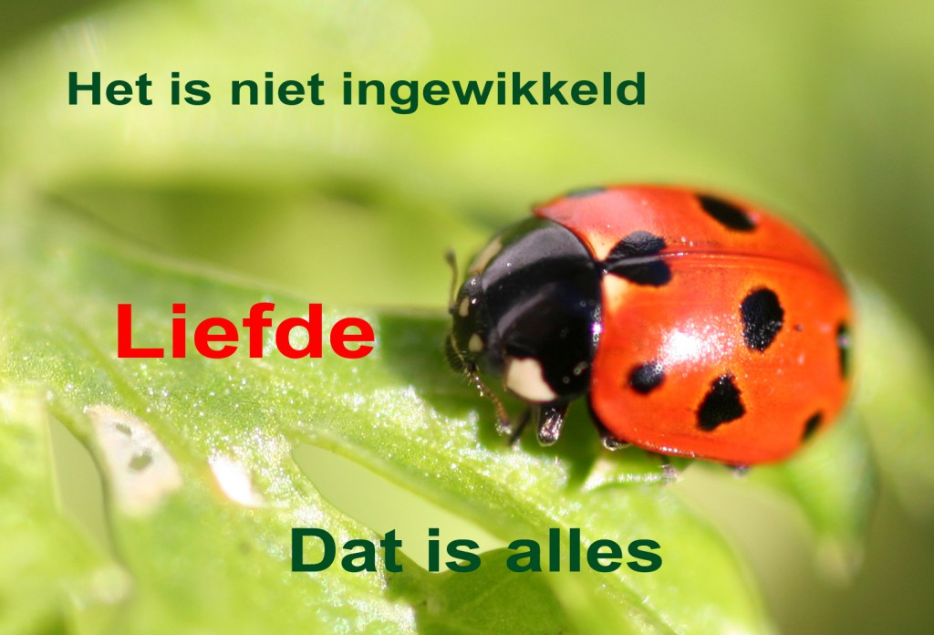 Liefde is alles